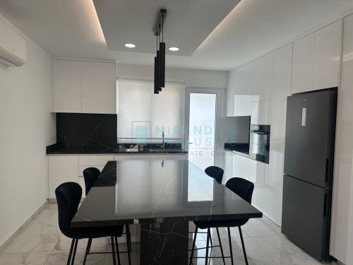 Apartments for rent 150 m² in Nicosia Center, Agioi Omologites, Nicosia, 1066