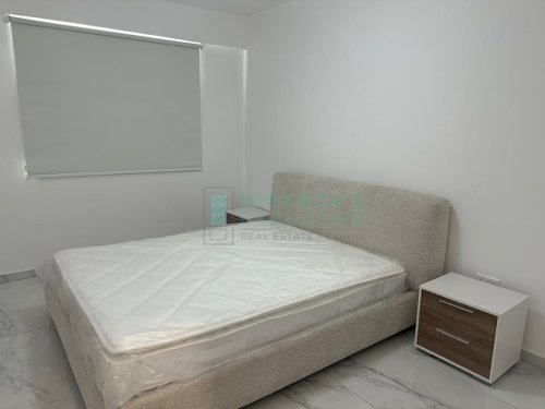 Apartments for rent 150 m² in Nicosia Center, Agioi Omologites, Nicosia, 1066