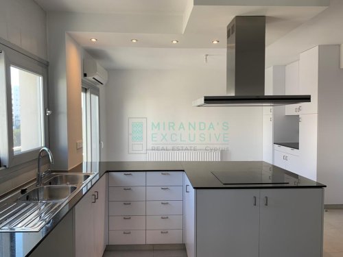 Ρετιρέ προς ενοικίαση 180 μ² στην τοποθεσία Nicosia Center, Agioi Omologites, Nicosia, 1075