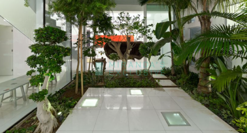 Office 274 m² for rent in Nicosia Center, Lykavitos, Nicosia, 1061